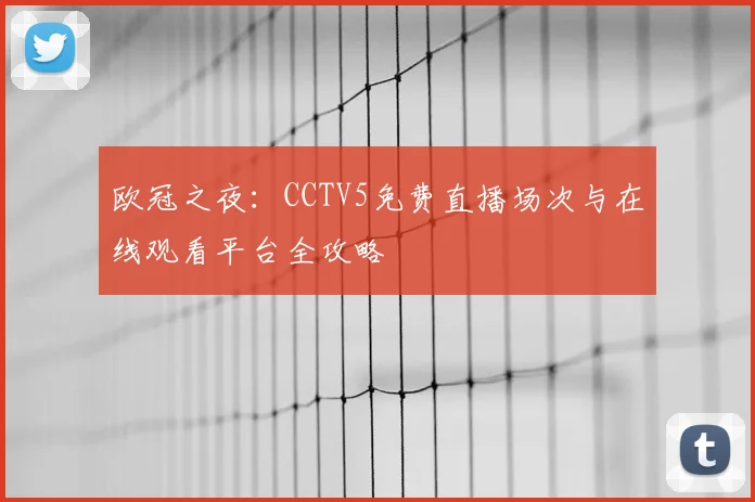 欧冠之夜：CCTV5免费直播场次与在线观看平台全攻略