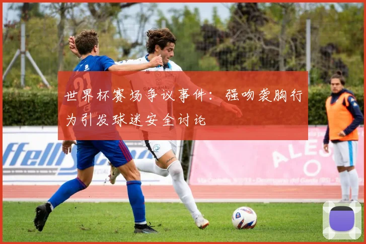 世界杯赛场争议事件：强吻袭胸行为引发球迷安全讨论