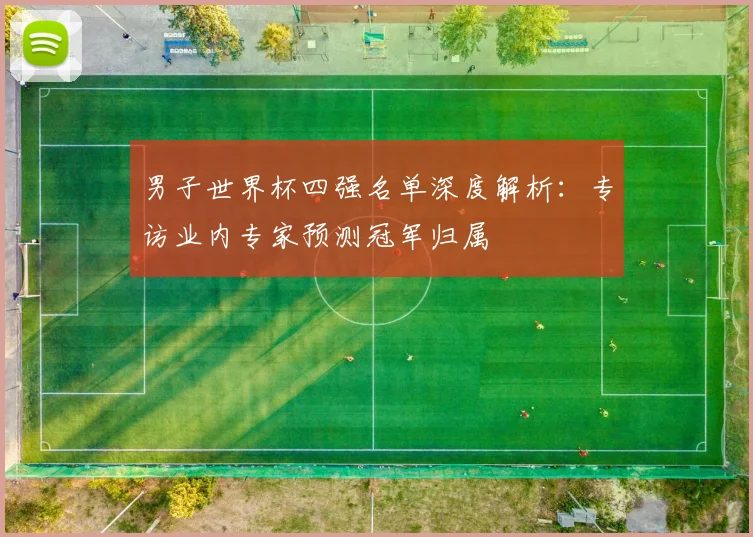 男子世界杯四强名单深度解析：专访业内专家预测冠军归属