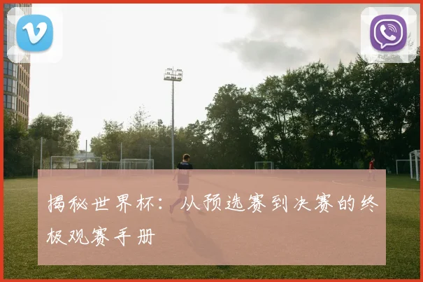 揭秘世界杯：从预选赛到决赛的终极观赛手册