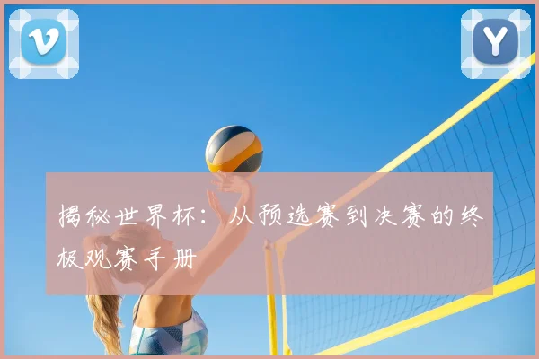 揭秘世界杯：从预选赛到决赛的终极观赛手册