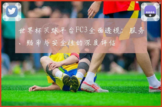 世界杯买球平台FC3全面透视:服务、赔率与安全性的深度评估
