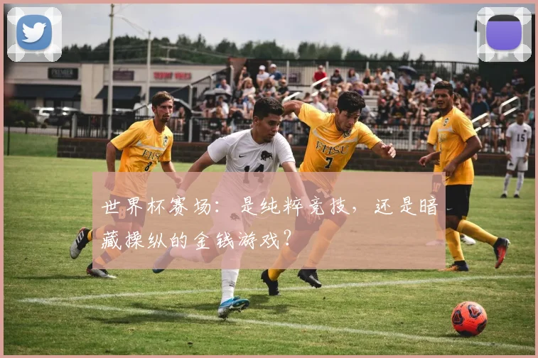 世界杯赛场：是纯粹竞技，还是暗藏操纵的金钱游戏？