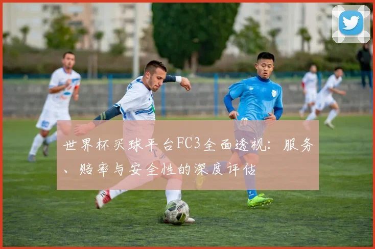 世界杯买球平台FC3全面透视:服务、赔率与安全性的深度评估