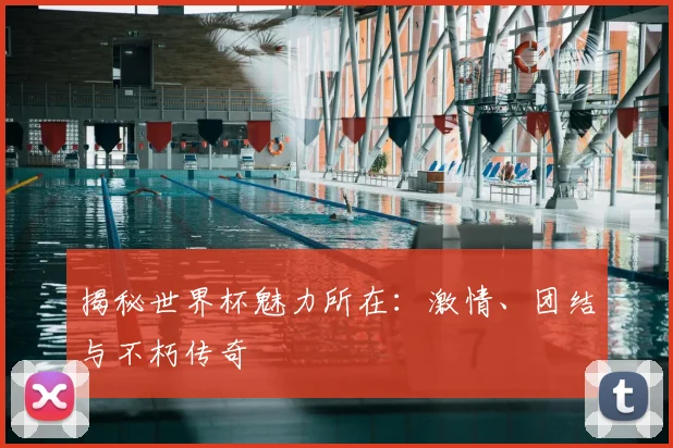 揭秘世界杯魅力所在：激情、团结与不朽传奇