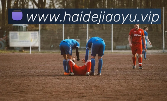 九游体育官方下载入口APP 封面图